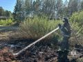 Итоги суток. За прошедшее воскресенье в крае ликвидировано 24 пожара, из них 9 палов травы на площади более 56 га. В н.п.Ольгино Уярского района горел мусор вне территории жилой зоны