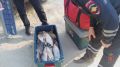 В Богучанах полицейские задержали подозреваемых в незаконной ловле нерестящейся рыбы