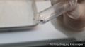 За неделю клещи укусили 1,5 тысячи жителей края