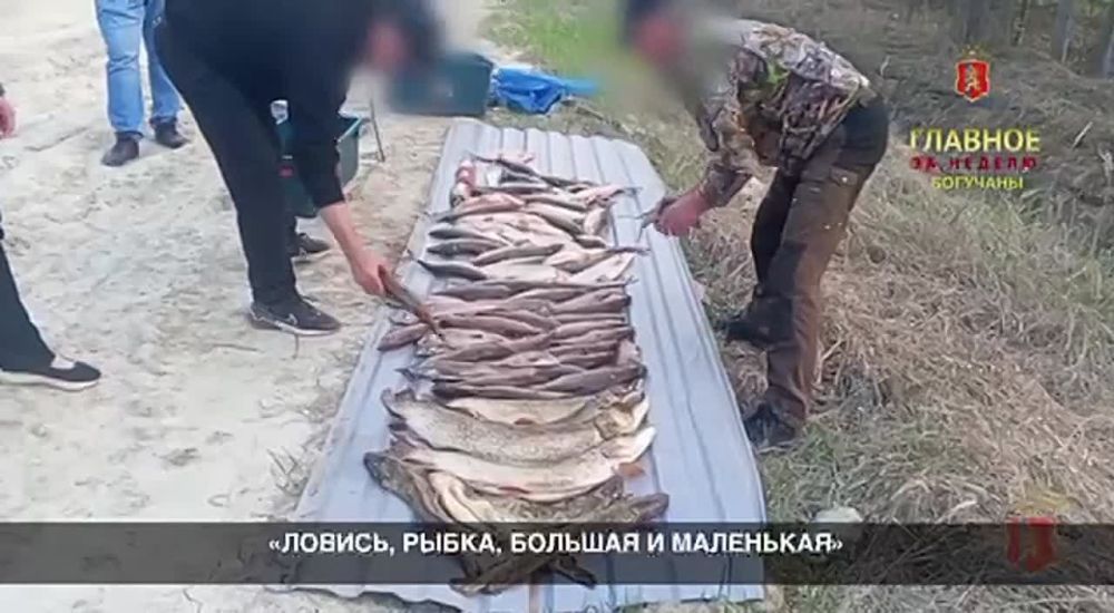 «Главное за неделю» с 26 мая по 1 июня
