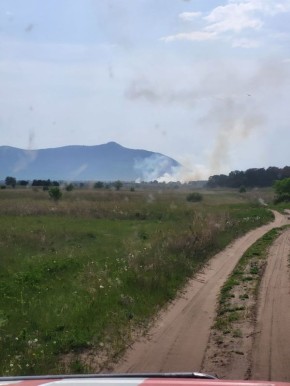 В Минусинском районе мог сгореть Потрошиловский бор