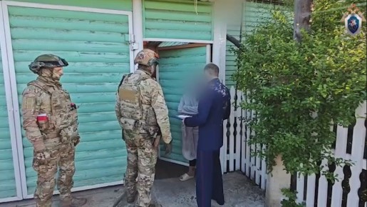 Видео задержания адвоката Анны Деньгиной и других подозреваемых в обустройстве нелегальных мигрантов
