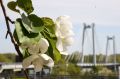 Красноярцев ждет короткая рабочая неделя благодаря празднованию Дня России