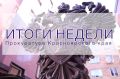 С учетом заключения прокурора суд изъял у ООО «Торговый комплекс Эльдорадо» объект незавершенного строительства