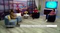 Как защитить питомца от перегрева в летом?