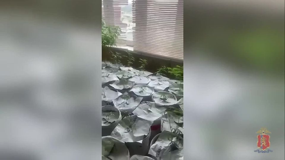      ,  97      