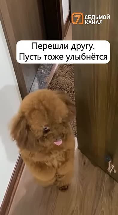 --!.        !
