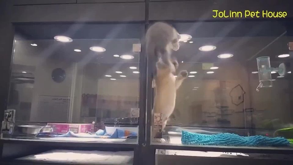      ,      ,  ,    ,    -!!!)