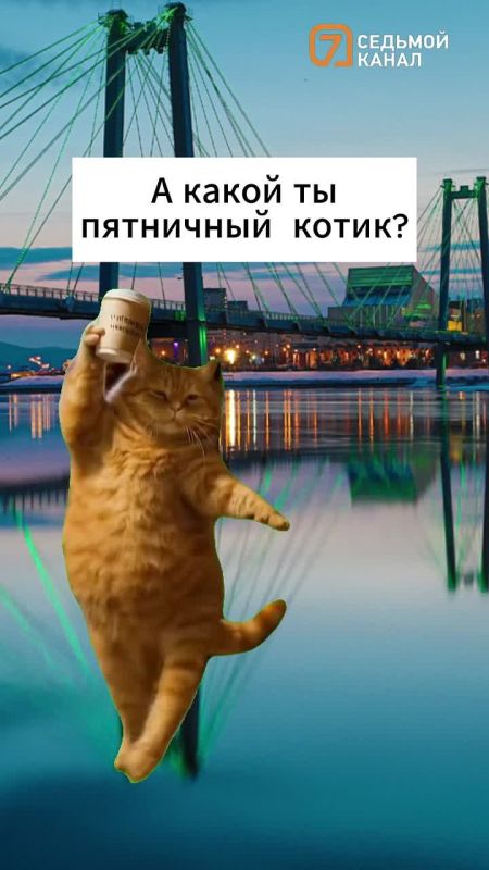   !.   ,   