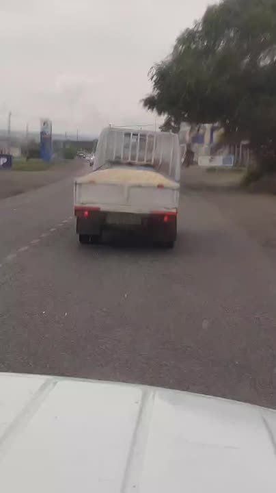  @sreda24bot.         