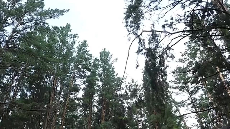    10-   