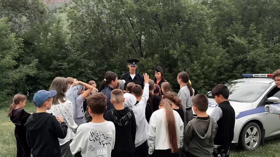        ,    - ,          
