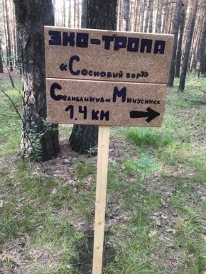  @sreda24bot.      