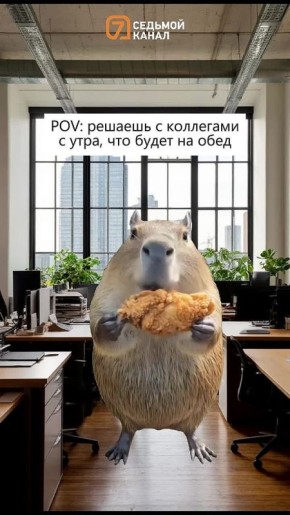  !.     !    