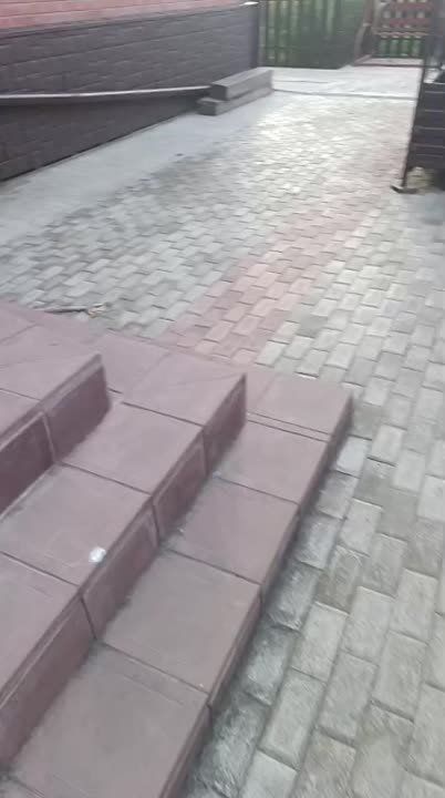     , ,  , 89135913071
