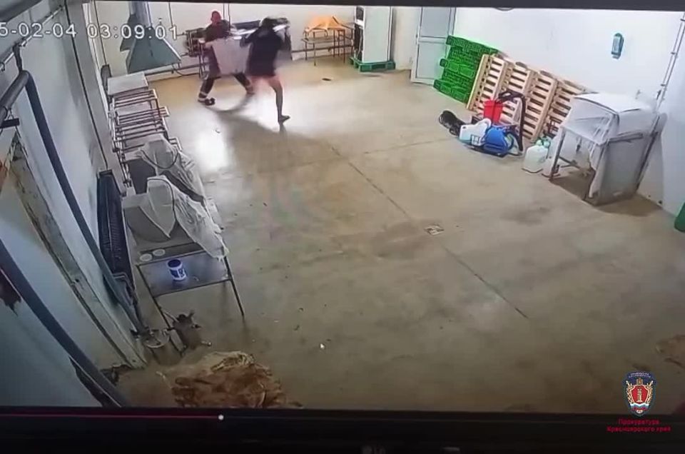          ,   