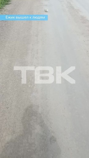 !  ?:      