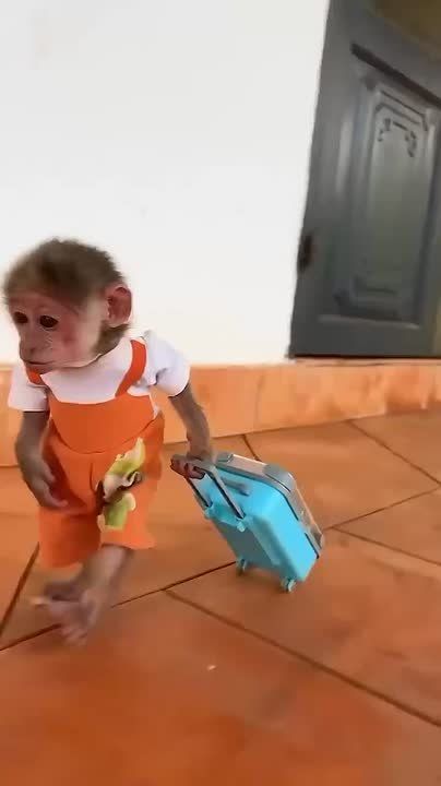 -   .   ?      ?