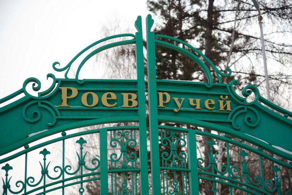            25- 