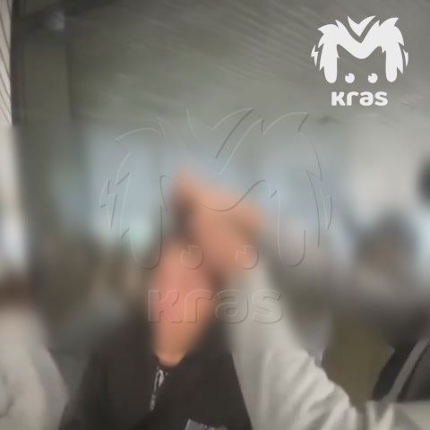 ,   -   ,    