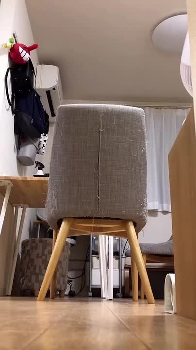 ?.       ,      