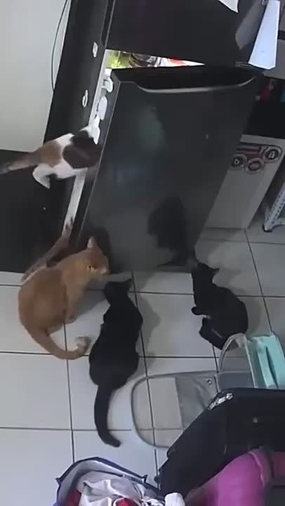  .  ,       ,      