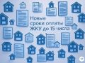      15 :      