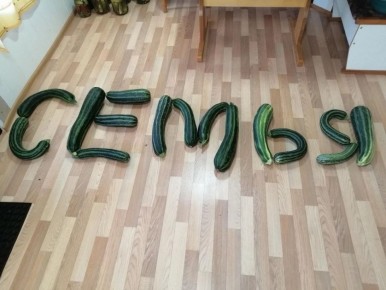,         