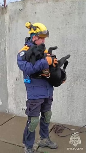  !.       