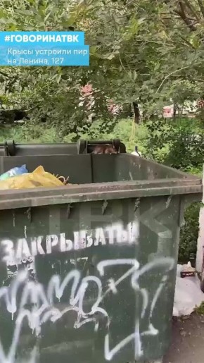     , 127