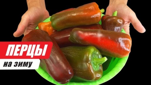       : DIY-