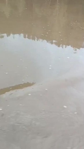         -    