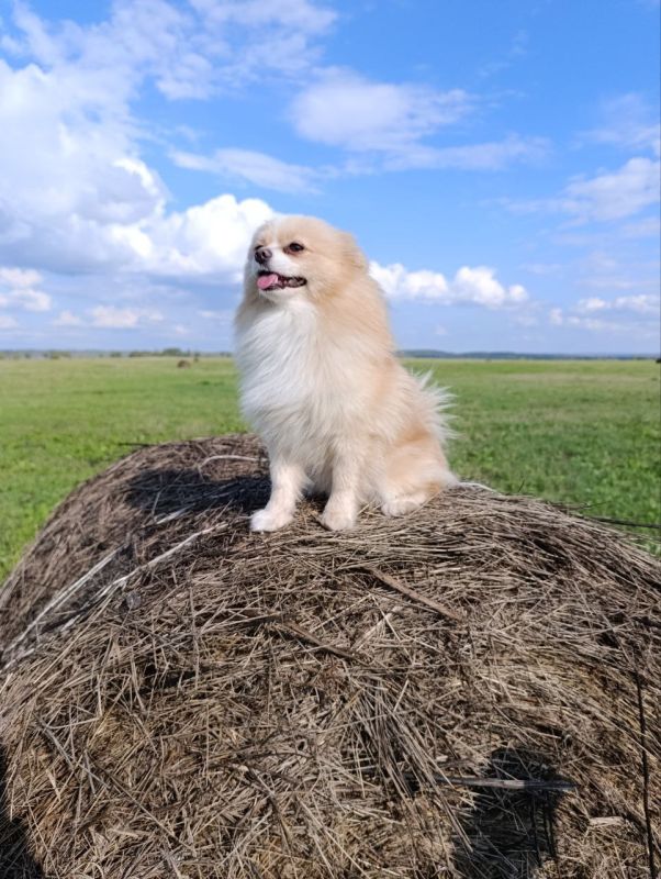  !.         ,   ,    