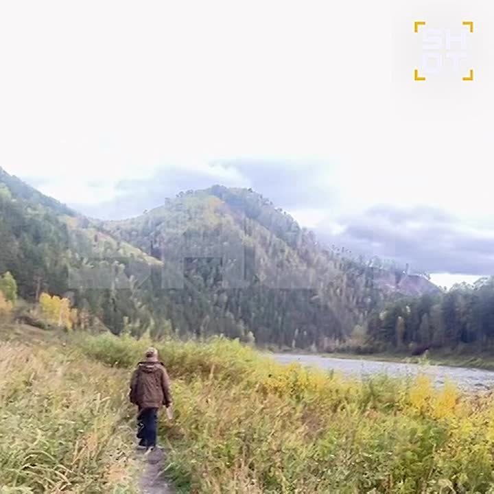   ,      ,  