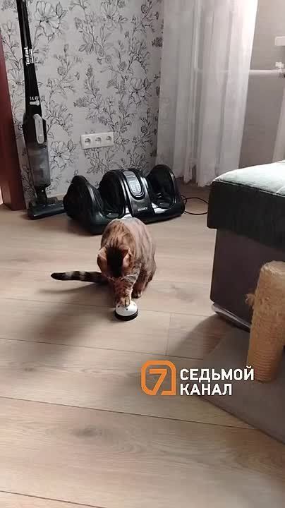  !.         ,    
