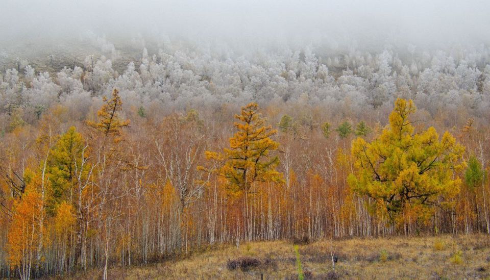 Зима продолжает наступать, осень держать оборону