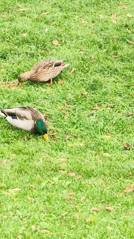 Погода на 9 октября. ТВК