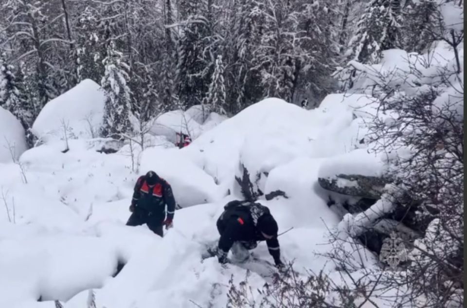 В Красноярском крае в поисках семьи Усольцевых спасатели обследовали 41 квадратный километр леса