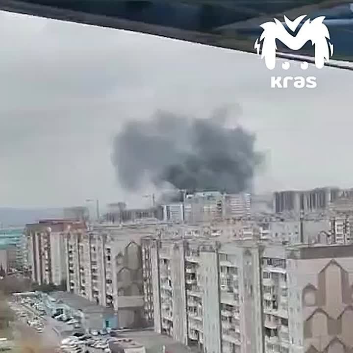 ׸      
