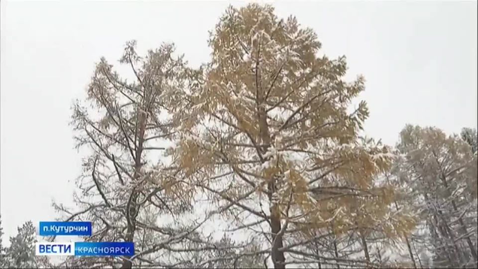 Новые детали поисковой операции
