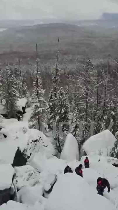     ,     .    ,        ,       