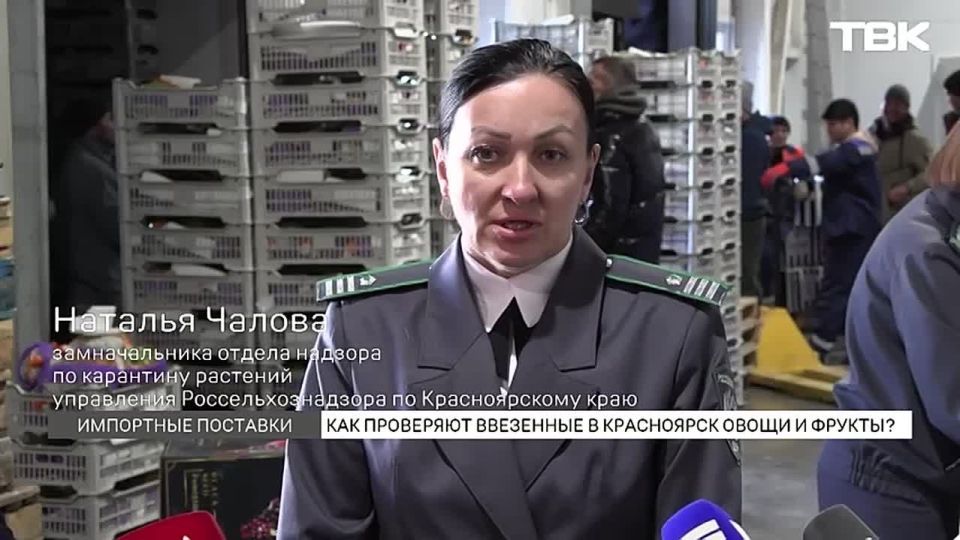 Как проверяют фрукты и овощи, которые привозят в Красноярский край из других стран