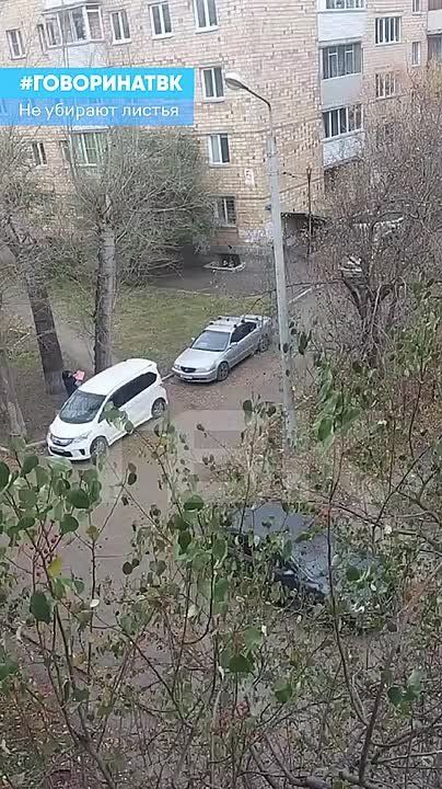     ,     