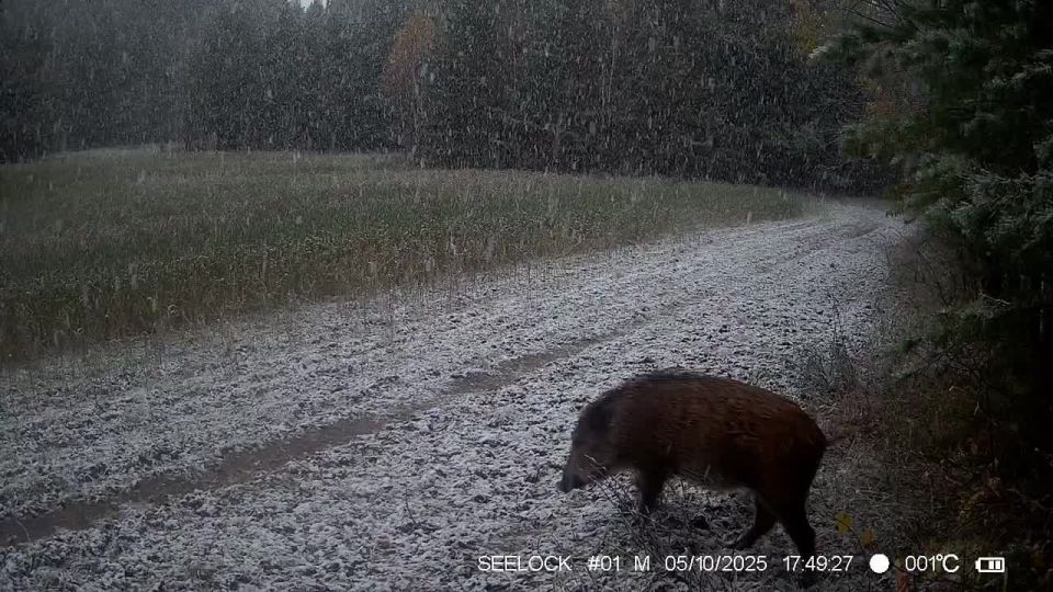 Именно так выглядит счастье