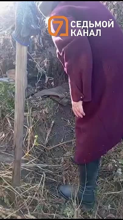 Рубили топором и издевались: грабители изувечили сторожевую собаку в Красноярске