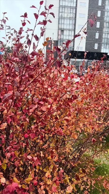 Погода на 16 октября. ТВК