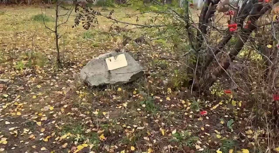 Уволен на***: Губернатор Самарской области Вячеслав Федорищев в нецензурной форме уволил главу Кинельского района