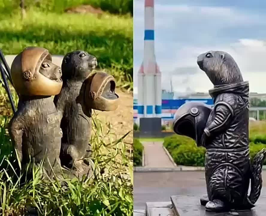 Красноярские суслики знакомятся с южными собратьями из города Волжского и вместе запускают ракету в космос