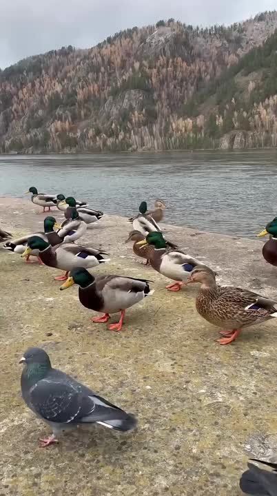 Погода на 17 октября. ТВК