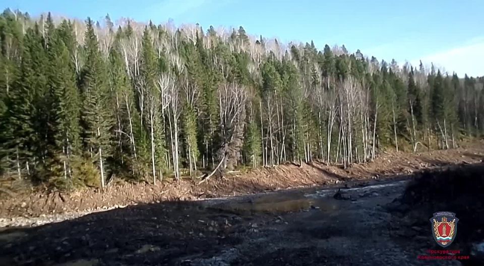 После прокурорских проверок рекультвировано 206 га, на которых производилась добыча золота на реке Малая Кузеева в Сухобузимском районе